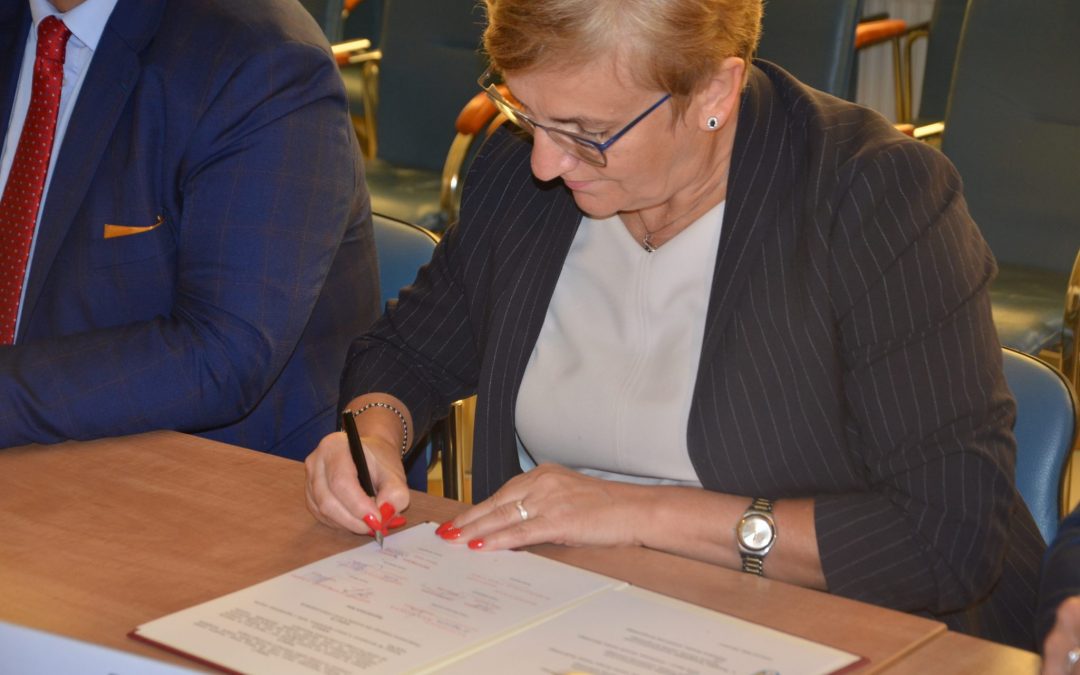 „Śląska energia” – sześć powiatów na rzecz OZE