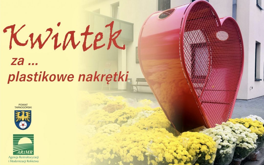 Kwiatek za… plastikowe nakrętki