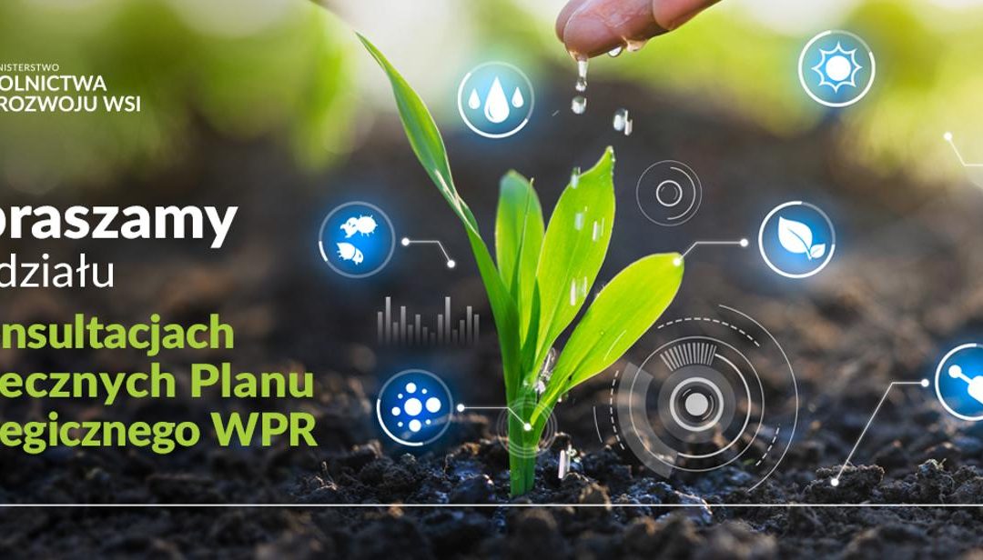 Ruszyły konsultacje projektu Planu Strategicznego dla Wspólnej Polityki Rolnej