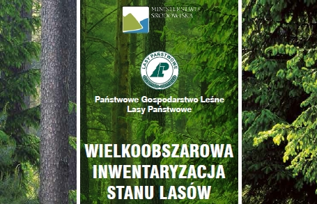 Grafika z lasem, logotypem Lasów Państwowych oraz napisem Wielkoobszarowa Inwentaryzacja Stanu Lasów