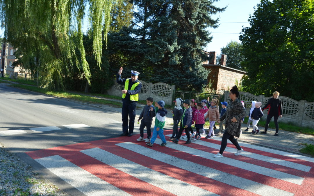 Przedszkolaki z Miedar uczestniczyły w europejskich działaniach ROADPOL Safety Days