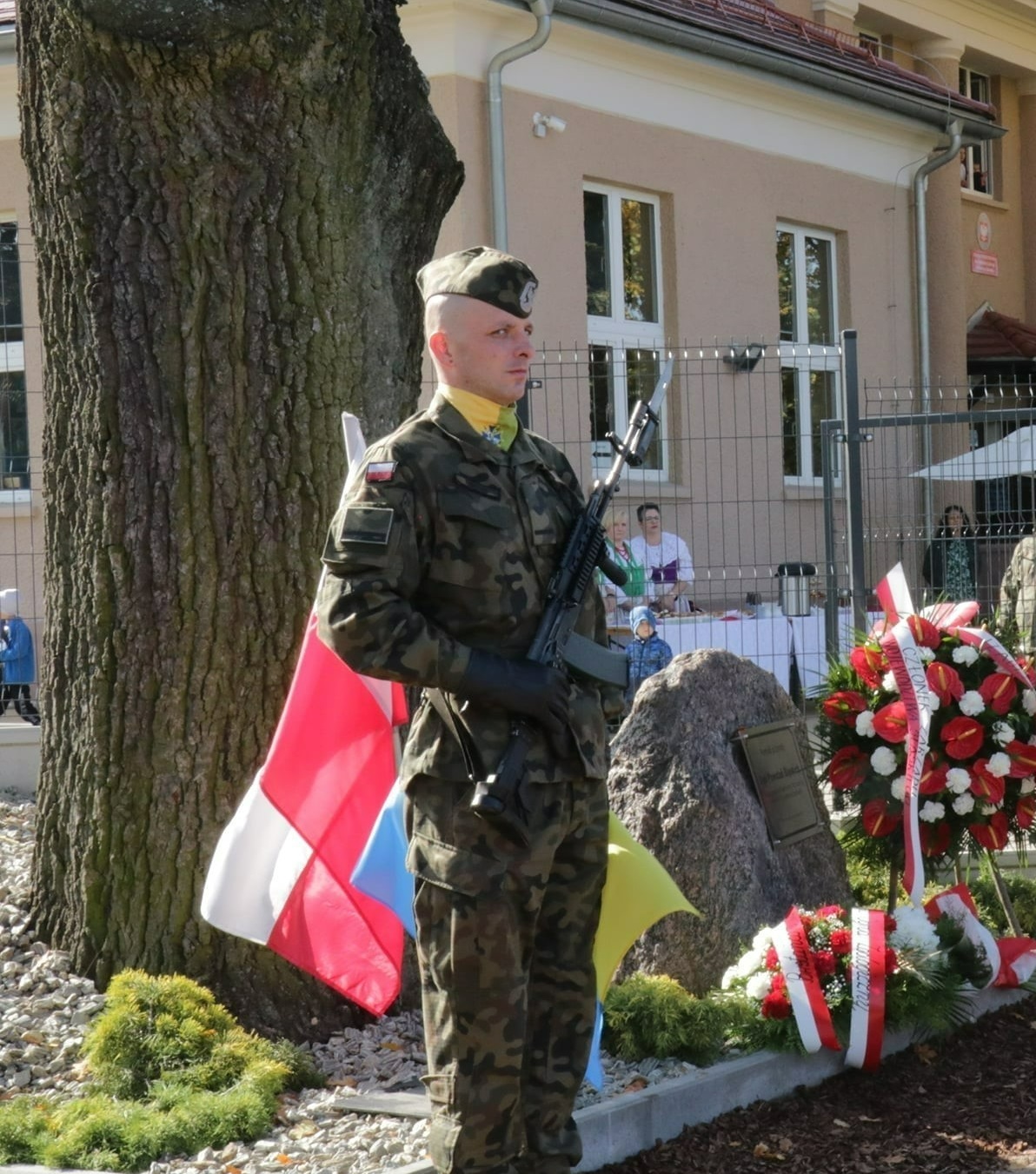 Żołnierz stoi na warcie obok drzewa dębu pomnika przyrody