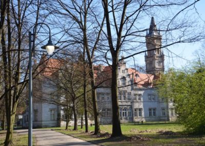 Pałac w Nakle Śląskim widok z za drzew