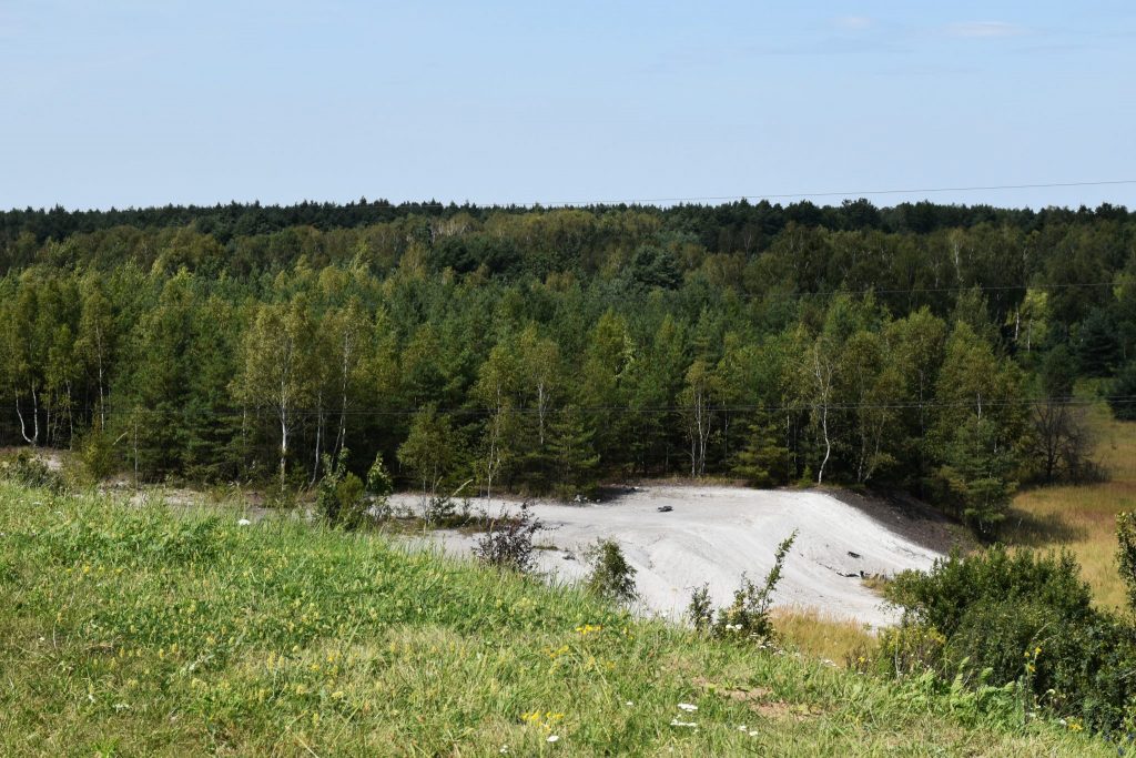 Odpady na terenach znajdujących się w otoczeniu wysokich drzew.