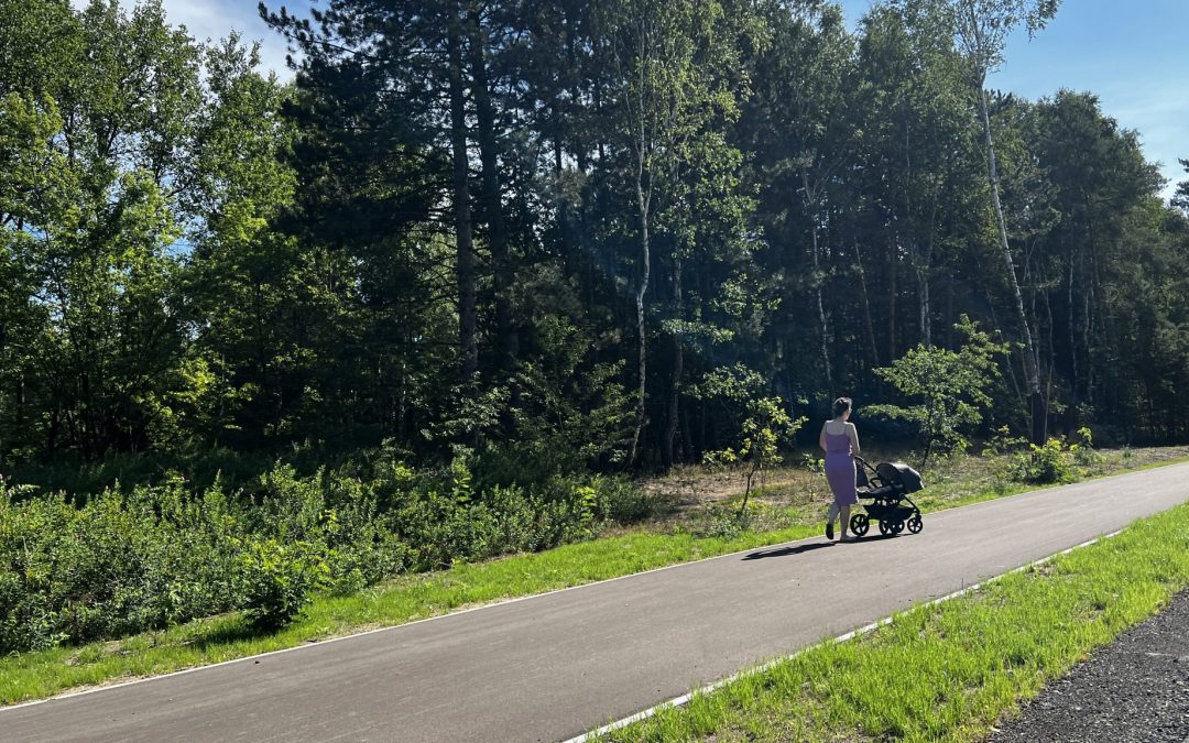 Budowa regionalnej trasy rowerowej w powiecie tarnogórskim