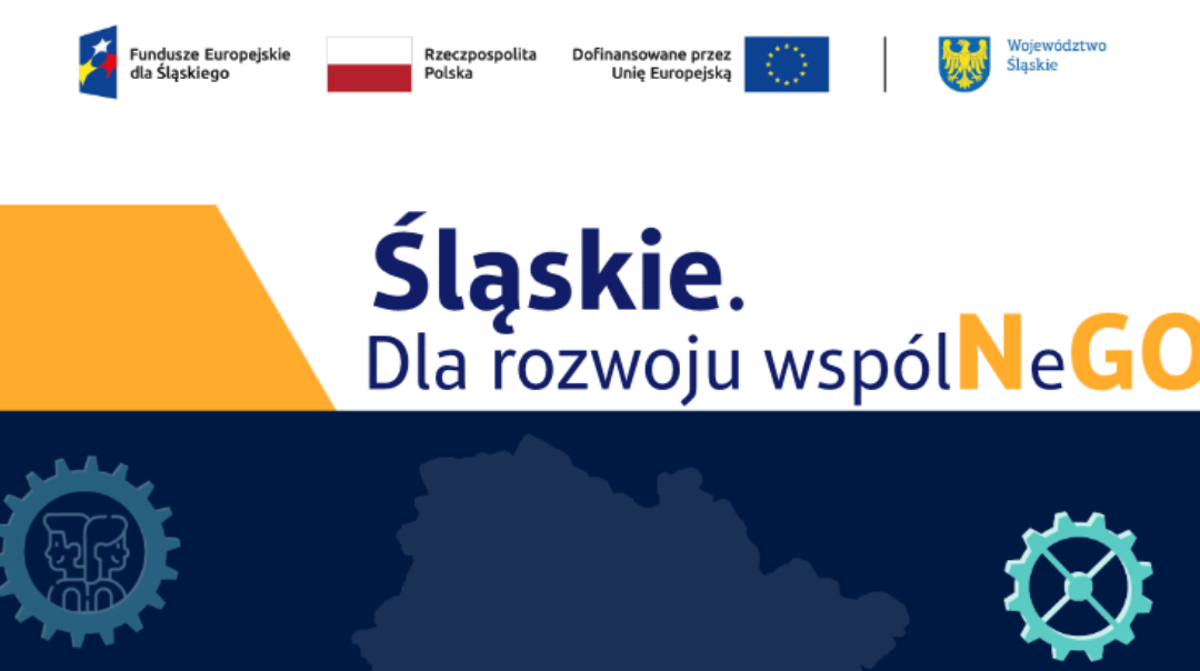 Projekt grantowy „Śląskie. Dla rozwoju wspólNeGO”