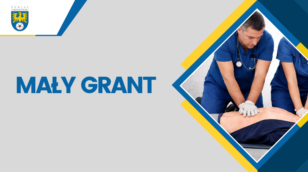 Uproszczona oferta zadania publicznego