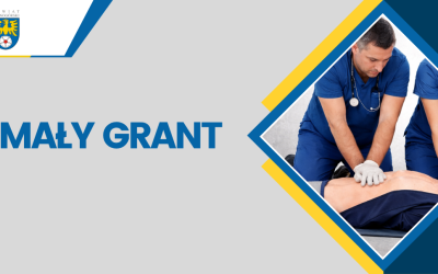 Uproszczona oferta zadania publicznego