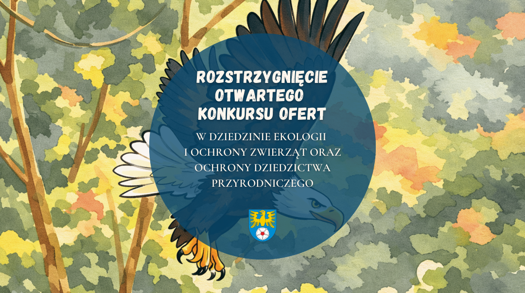 Rozstrzygnięcie otwartego konkursu ofert