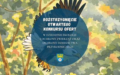 Rozstrzygnięcie otwartego konkursu ofert