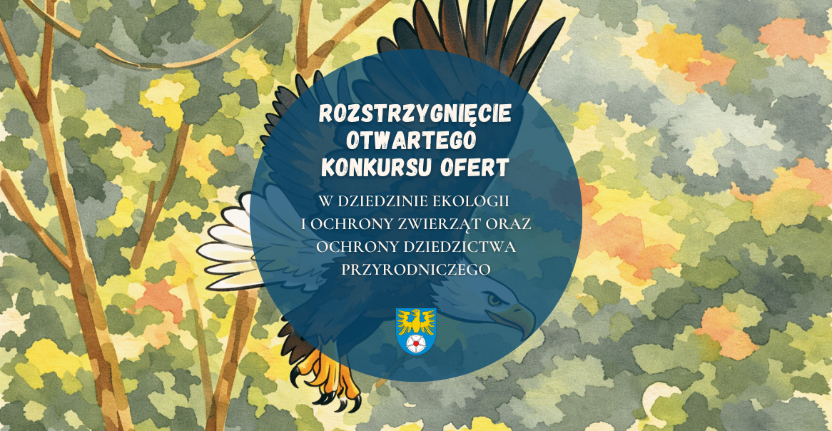 Rozstrzygnięcie otwartego konkursu ofert