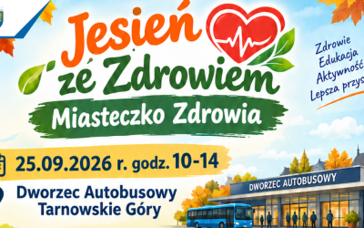 Miasteczko Zdrowia w Tarnowskich Górach